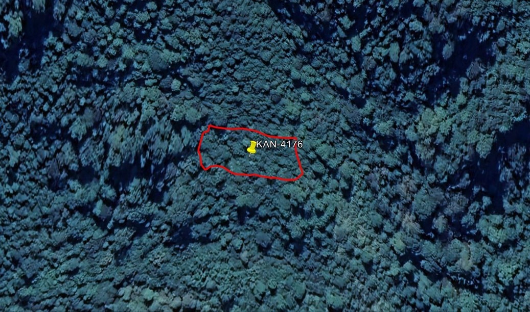 Land Plot E - Image 1